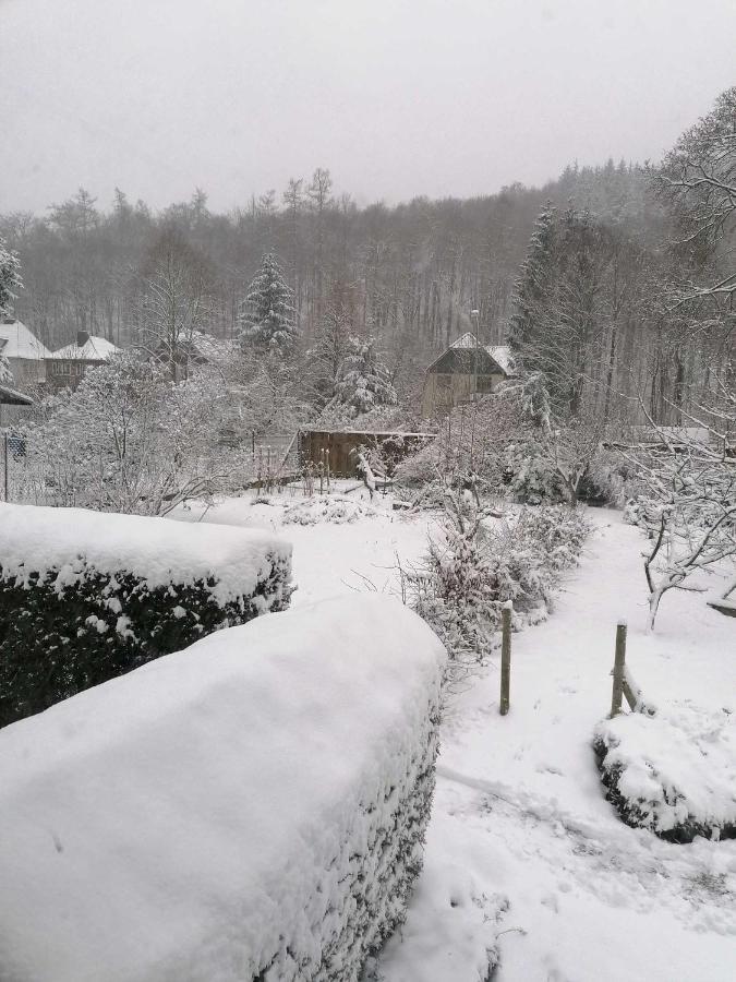 Ferienwohnung Natur Pur Muehlental Wernigerode Extérieur photo