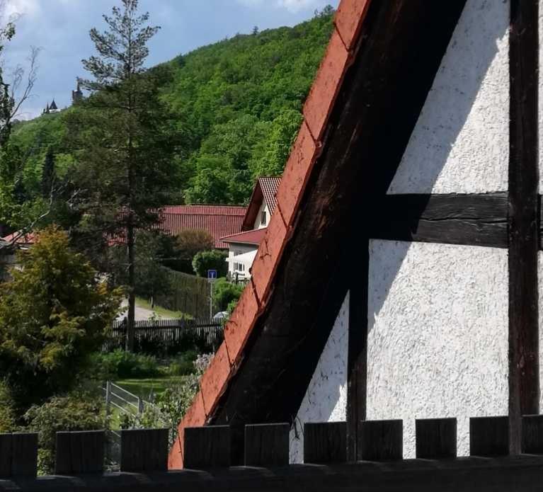 Ferienwohnung Natur Pur Muehlental Wernigerode Extérieur photo